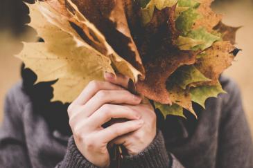 Gekleurde herfstbladeren in een bundeltje