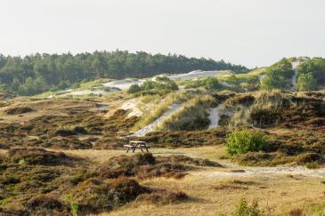 wandelen-weekend-schoorlse-duinen