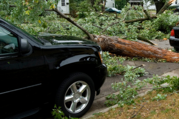 stormschade boom