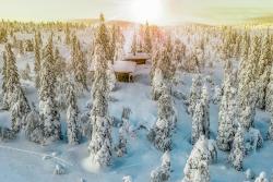 Fins Lapland Fins Lapland