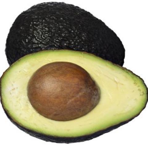 avocadopit gezond