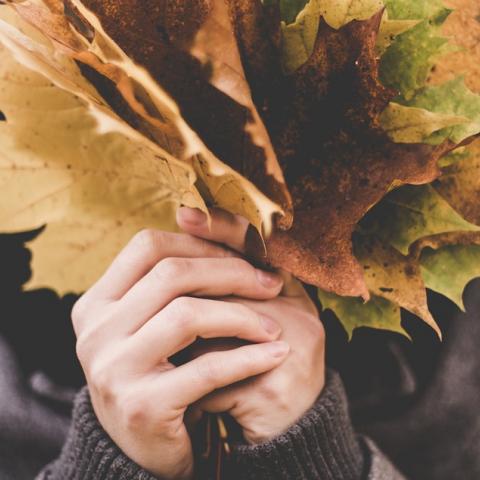 Persoon met herfstbladeren in de hand