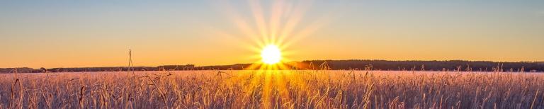 Zonsopgang